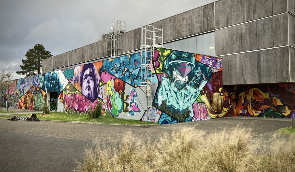 Vue d’ensemble d’une fresque graffiti de 370m² réalisée lors du festival Hip Hop Serial Kickerz au Haillan.